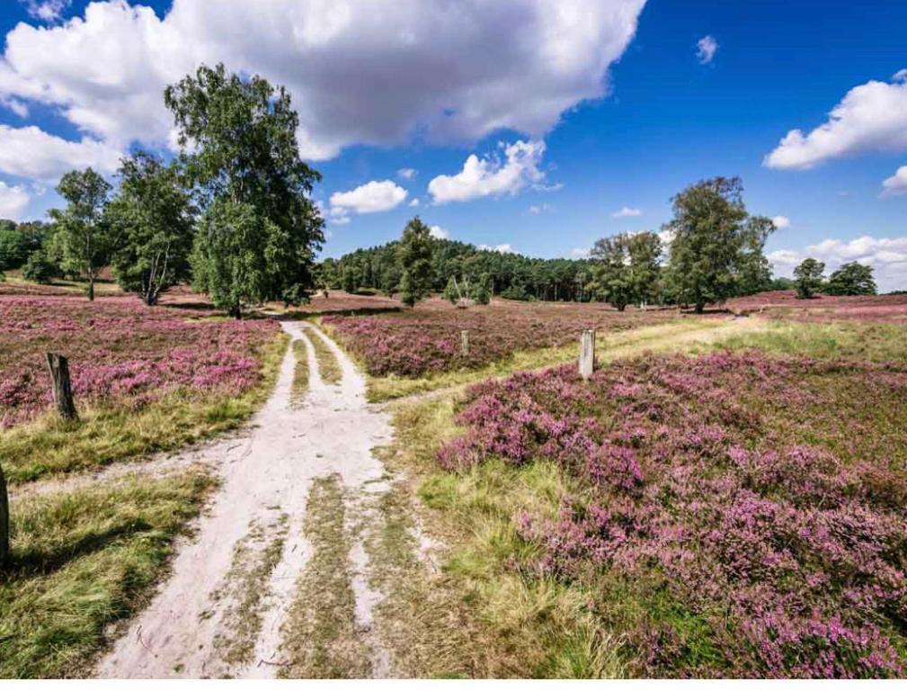 Feelslikehome - Reihenhaus Zwischen Hamburg Und Heide Mit Garten&Garage ノイ・ヴルムシュトルフ エクステリア 写真